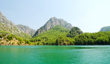 Harika bir manzara mounttain yeşil Kanyon