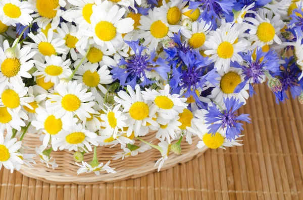 Красивые цветы в корзине — стоковое фото