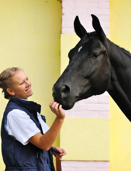 Menina e cavalo esportivo preto antes de competições — Fotografia de Stock