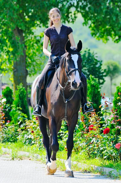 Joven chica equitación negro deporte caballo —  Fotos de Stock