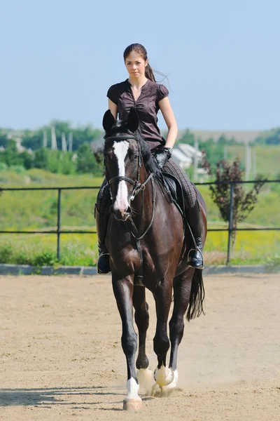 Joven chica equitación negro deporte caballo —  Fotos de Stock