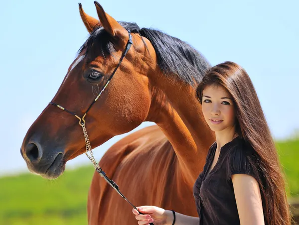 Young girl and bay horse — Stock Photo, Image