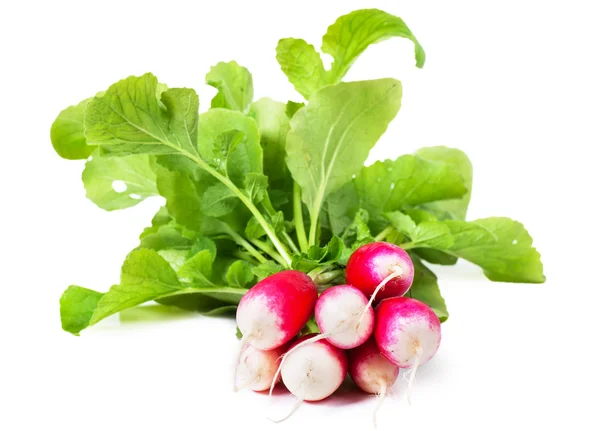 radish— 圖庫照片 08 artem gorohov #7019575