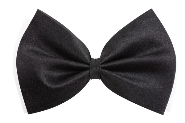 Bowtie ! — Photo