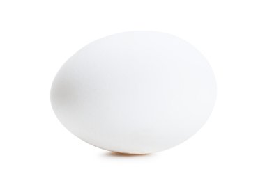 White egg clipart