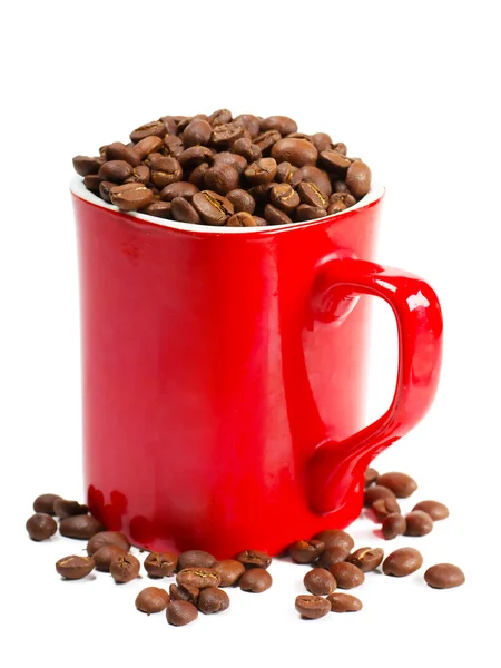 Kávébab — Stock Fotó