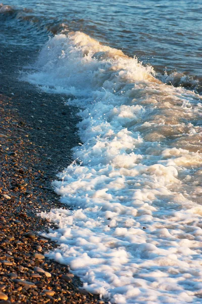 Dalga bir plajda — Stok fotoğraf