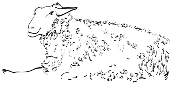 Smiling-sheep-sketch — Stockový vektor