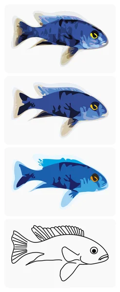 Fish-blue-ahli — Stock Vector