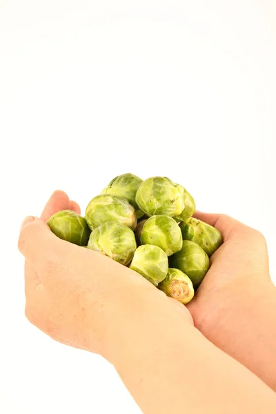 Female hands holding fresh Brussels sprouts — Stock Photo, Image