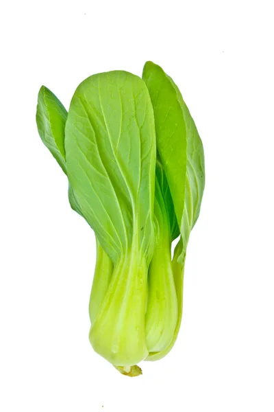 Kapusta Szpinak świeży zielony — Zdjęcie stockowe