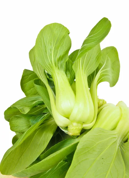 Fresh green spinach cabbage — Stock Photo, Image