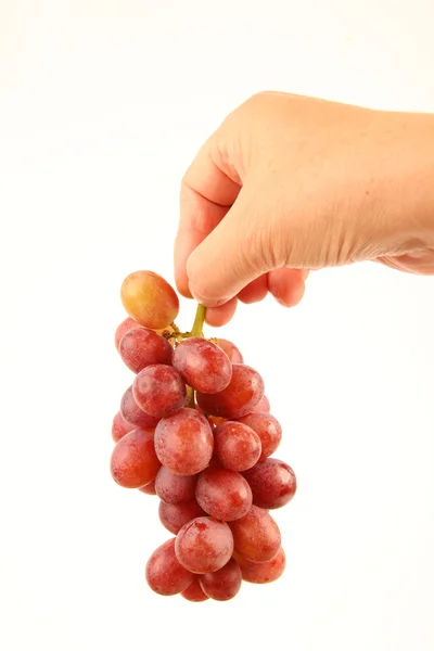 Mani femminili con uva fresca Fotografia Stock