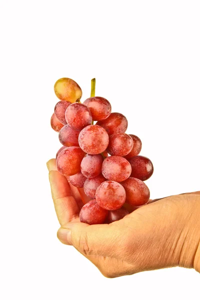 Mani femminili con uva fresca Immagini Stock Royalty Free