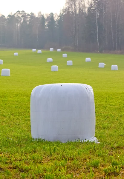 Straw bales wrapped in plastic — Stock Photo, Image
