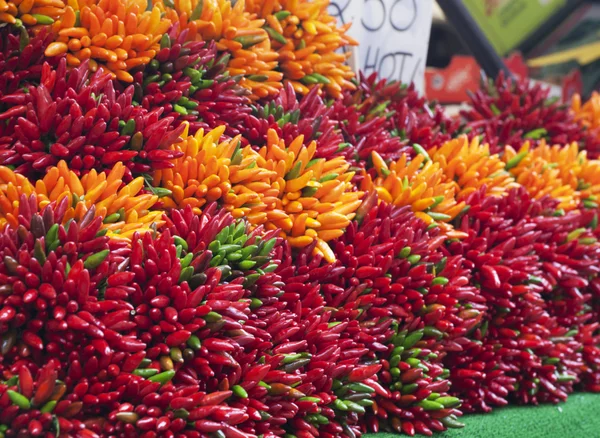 stock image Red and orange hot chilly papers