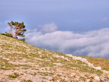 dağ manzarası. Kırım.