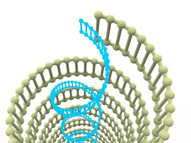 Gen DNA.