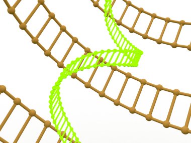 Gen DNA.