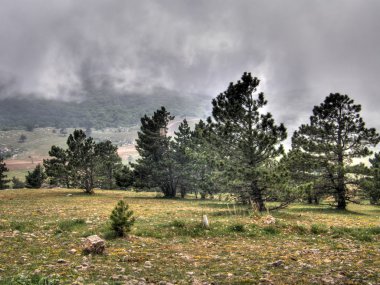 dağ manzarası. Kırım.