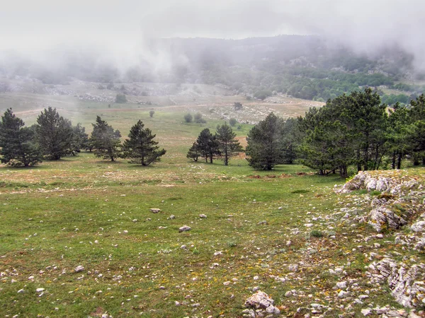 Mountain landscape. Crimea. — Stock Photo, Image