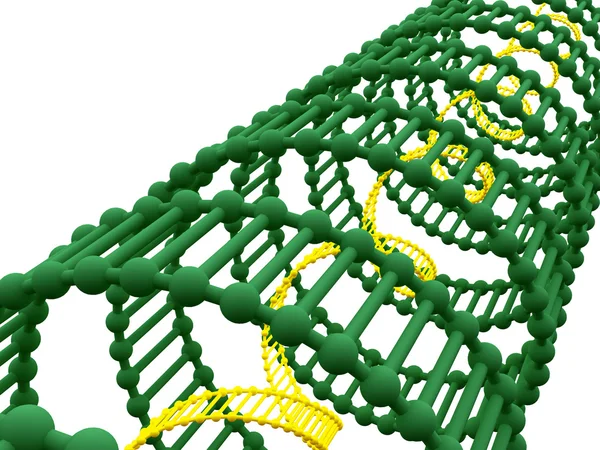Gene no ADN . — Fotografia de Stock