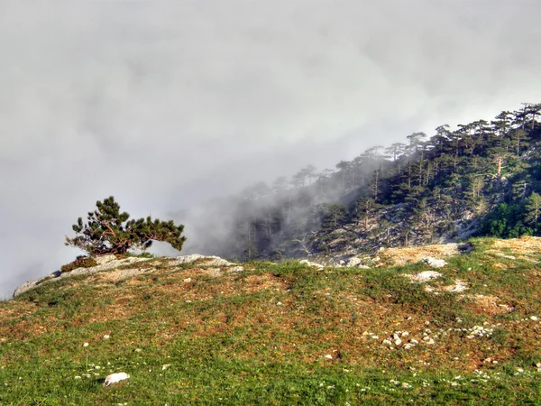 山の風景。クリミア半島. — ストック写真