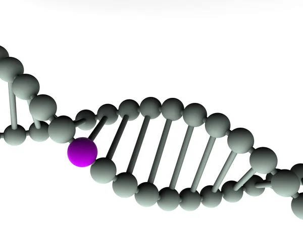 A DNS-ben Gene. — Stock Fotó