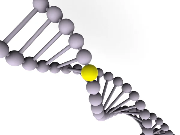 Gene no ADN . — Fotografia de Stock