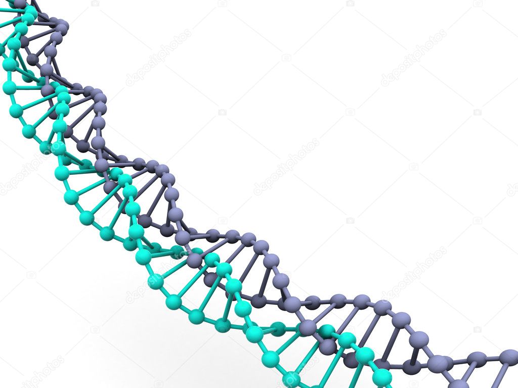Gene in DNA.