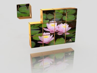 televizyon görüntüsü