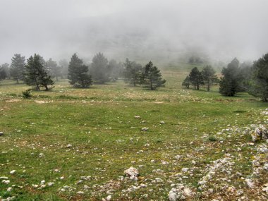 dağ manzarası. Kırım.