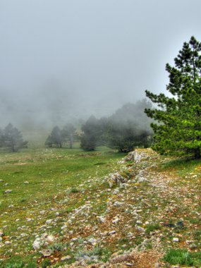 manzara. Kırım. Ukrayna.