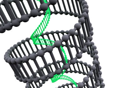 Gen DNA.