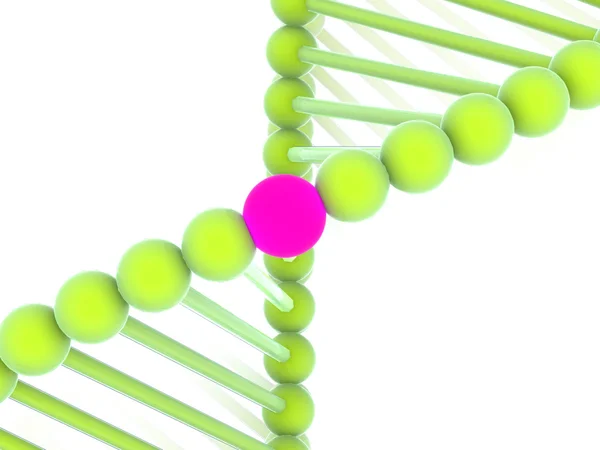Gène dans l'ADN . — Photo
