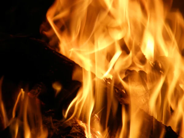 Llamas o fuego — Foto de Stock