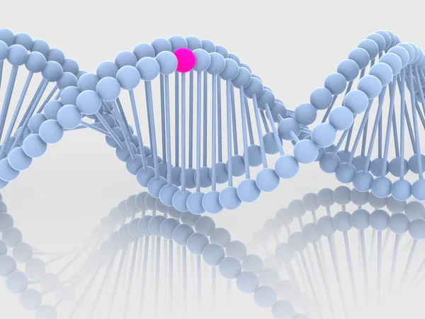 Gene no ADN — Fotografia de Stock