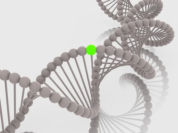 Ген в ДНК — стоковое фото