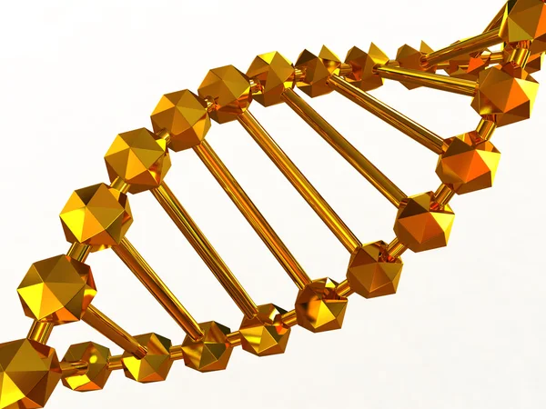 stock image Gene in DNA