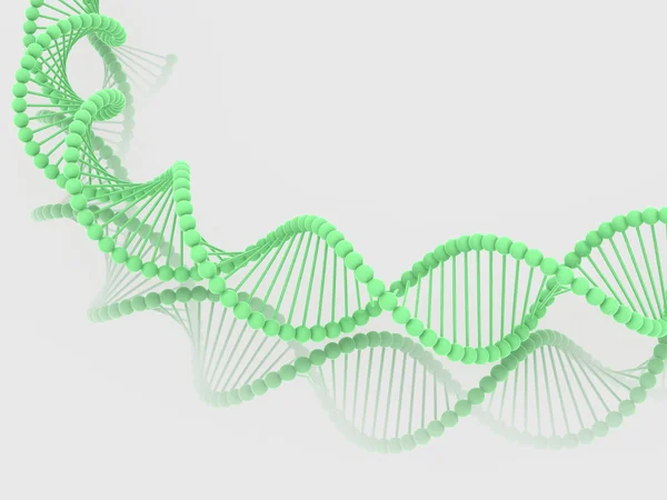 Gen en el ADN —  Fotos de Stock