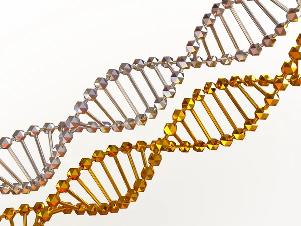 stock image Gene in DNA