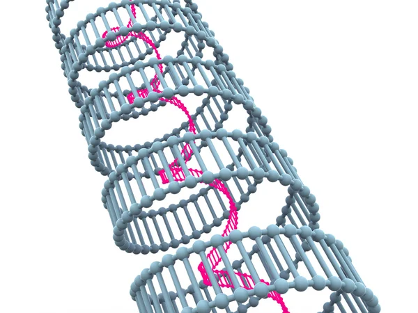 Gen en el ADN . — Foto de Stock