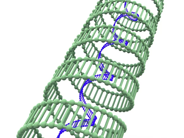 Gen DNA. — Stok fotoğraf