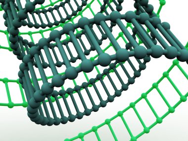 Gen DNA.