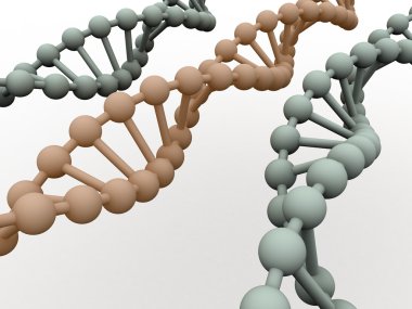Gen DNA.