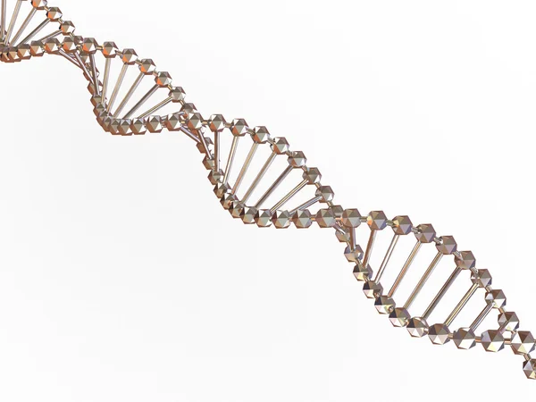 stock image Gene in DNA