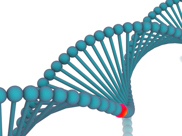 Gen en el ADN . —  Fotos de Stock