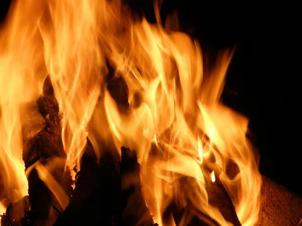 Lågor eller brand — Stockfoto