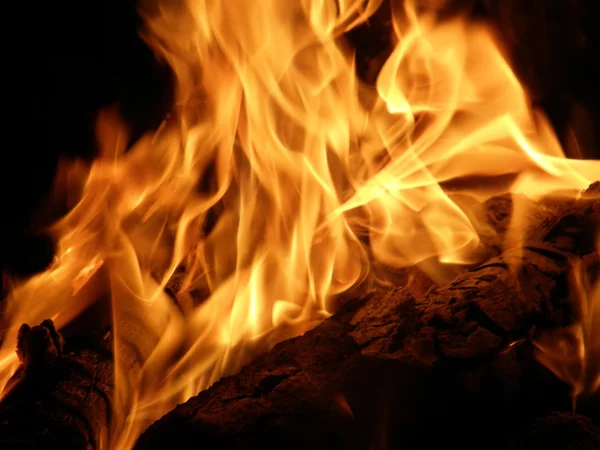 Flammen oder Feuer — Stockfoto