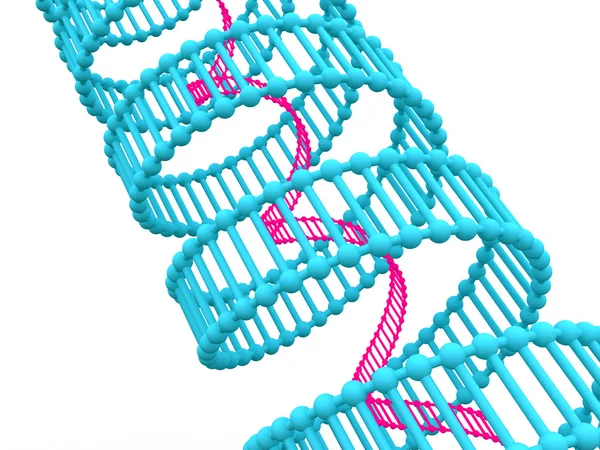 Genio nel DNA . — Foto Stock